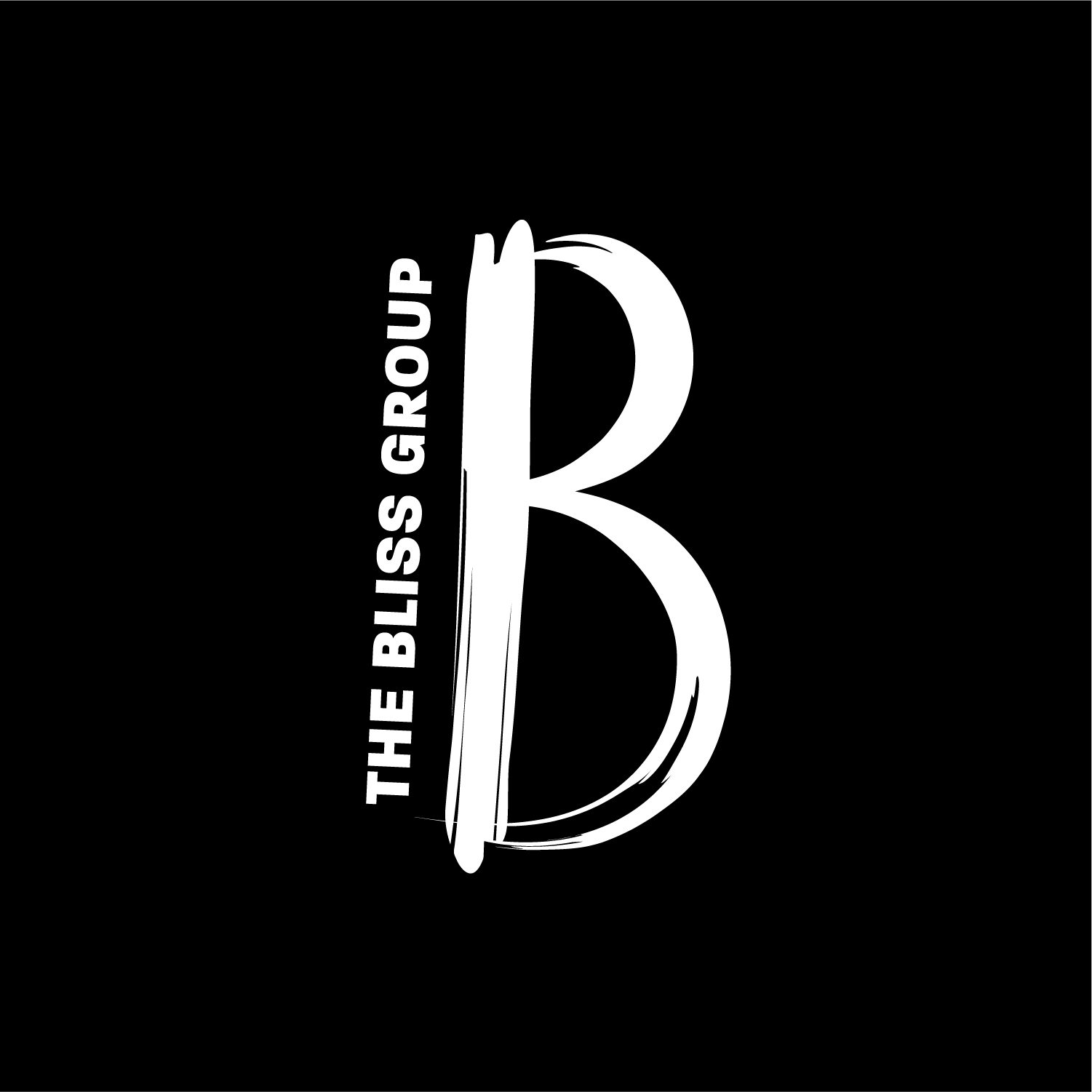 TBG_LOGOS_rgb_full logo_colorblock_Black